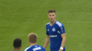 Football Soccer GIF by FC Schalke 04