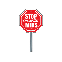 Flame Bic Sticker by HoneyGrove