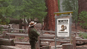 GIF by NorCal Honda Dealers