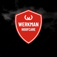 Farrier Werkman GIF by WerkmanHoofcare