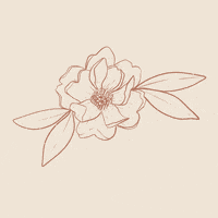 madiwelchdesign  GIF
