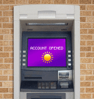 cat lol gif GIF by Trolli