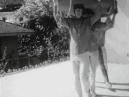 Pet Sounds GIF by The Beach Boys