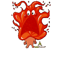 Feuer Sticker by SaoM