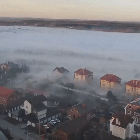 cargocash giphyupload GIF