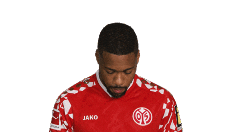 Look Up Mainz 05 Sticker by Bundesliga