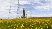 Space Rocket GIF by NASA