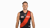 essendonfc patrick dons bombers essendon GIF