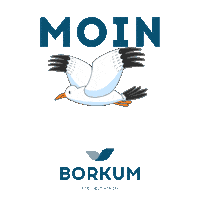 Insel_Borkum hello hi hallo moin Sticker