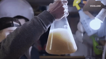 beer GIF by BEERLAND