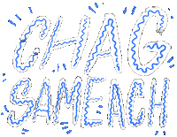 Party Israel Sticker