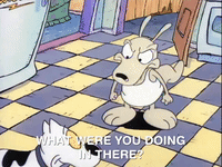 rockos modern life nicksplat GIF