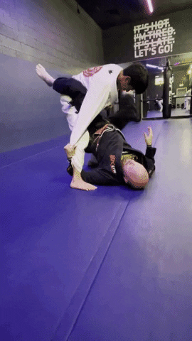 Ufc Rolling GIF by Neale Hoerle