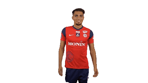 Football Goal Sticker by La Berrichonne de Châteauroux