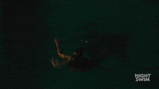 NightSwimMovie movie horror scary creeping GIF
