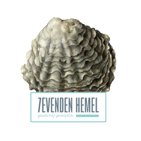7evendenhemel denbosch s-hertogenbosch korteputstraat korteput Sticker