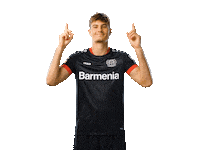 Bayer 04 Swipe Sticker by Bayer 04 Leverkusen