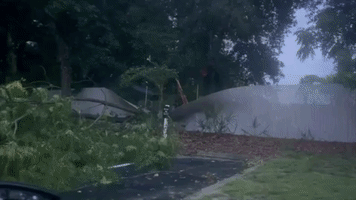 Tree Branches Litter Roads After Storm Hits Orlando