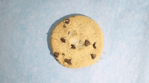 austin high school cookie GIF