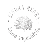 DanzantesMezcal drink shot mezcal agave Sticker