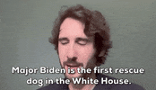 Josh Groban Animal Adoption GIF by GIPHY News
