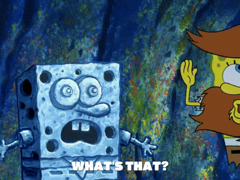 season 5 the two faces of squidward GIF by SpongeBob SquarePants