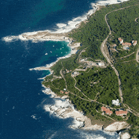 Zoom Spying GIF by Feliks Tomasz Konczakowski