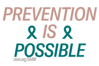 Domestic Violence Prevention GIF by National Sexual Violence Resource Center