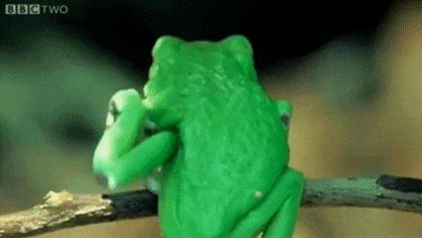 xcbcvccxscxcv giphyupload GIF