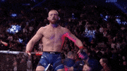 Sport GIF by UFC