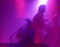 Neil Codling Suede GIF