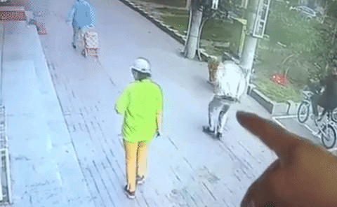 ghswk88 giphyupload GIF