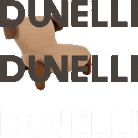 Dunelli Sticker by dunellioficial