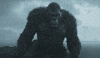 Game Fps GIF by Call of Duty