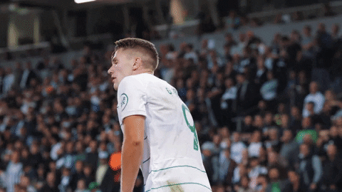Scp GIF by Sporting CP