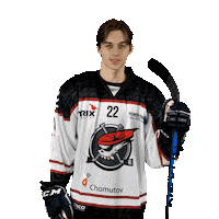 Kiss Sticker by Piráti Chomutov