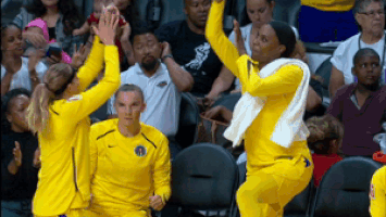 celebrate oh yeah GIF by WNBA