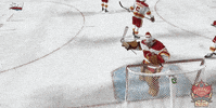 Ice Hockey Love GIF by NHL