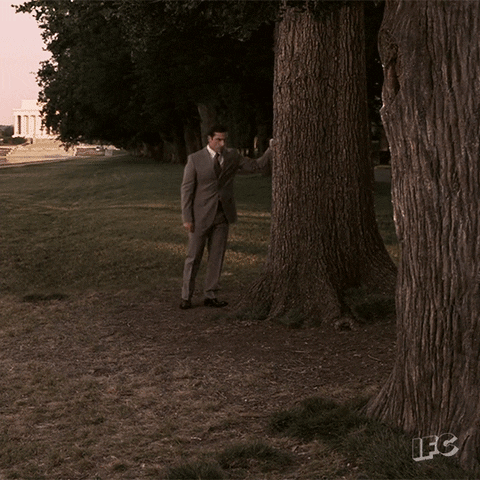 Steve Carell GIF by IFC