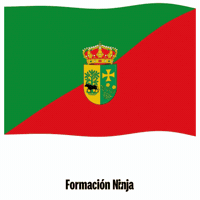 Flag Spain GIF by Formación Ninja
