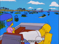 homer simpson GIF