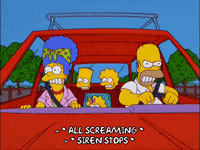 homer simpson GIF