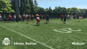 Ohio State Sport GIF by Ohio State Athletics