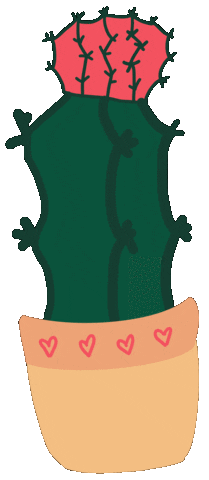 Flower Cactus Sticker