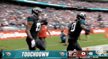 National Football League GIF by NFL