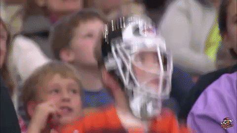 hockey fan GIF by Greenville Swamp Rabbits