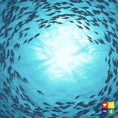 DreaGoesGiphy giphygifmaker climatechange GIF