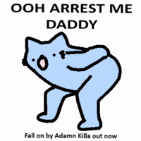 Dance Cat GIF by sillynub