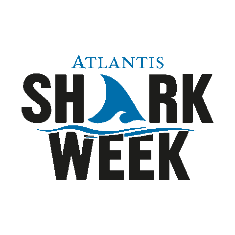 Shark Aquarium Sticker by Atlantis, The Palm