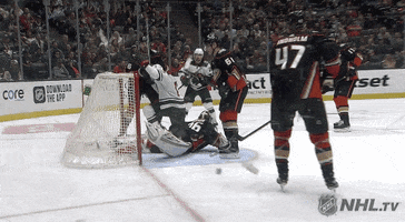 Ice Hockey Sport GIF by NHL